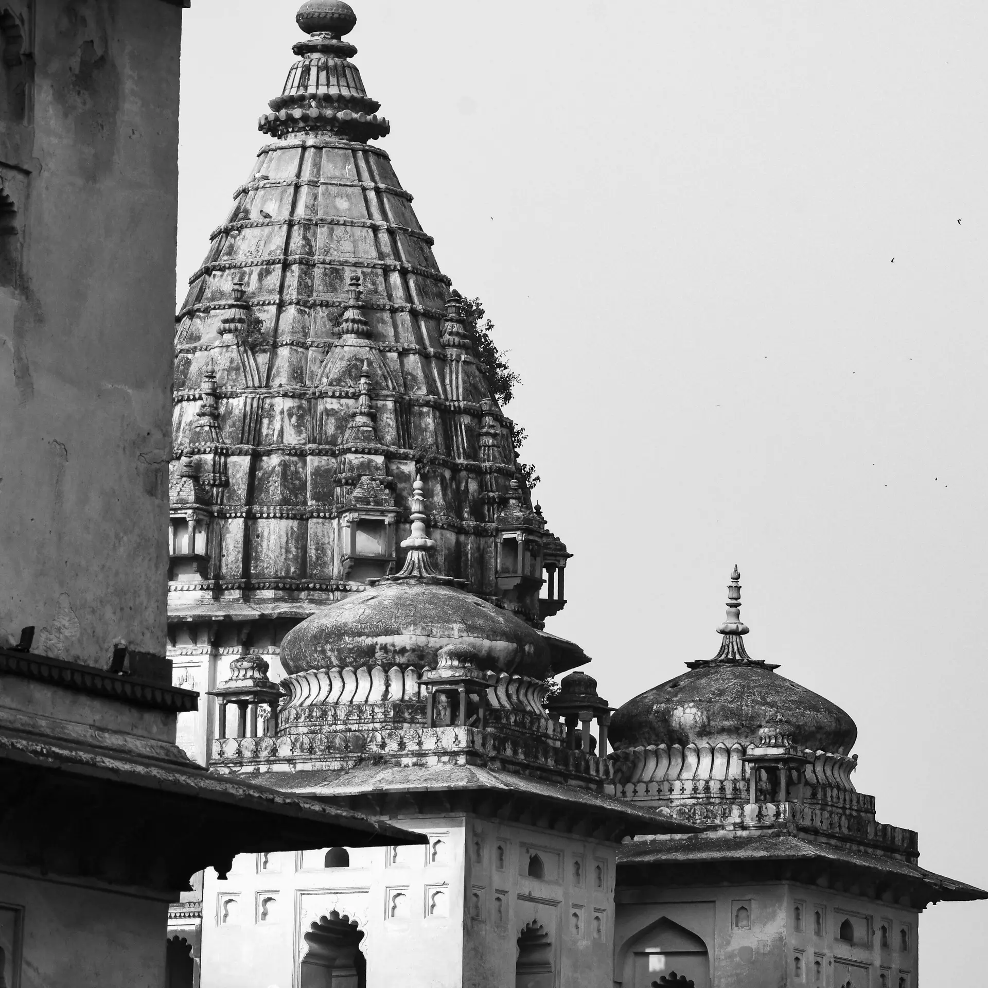 Black and white photo showcasing the intricate temple architecture of Orchha, India.