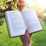 book, hand, reading, read, sunset, nature, garden