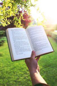 book, hand, reading, read, sunset, nature, garden