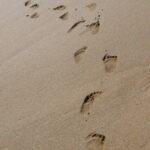 tracks, sand, nature, beach, footprint in the sand, sea, sunny seashore