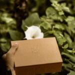 Brown craft box held by hand amidst lush green foliage in a serene garden setting.